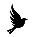 Tweet Music Lessons